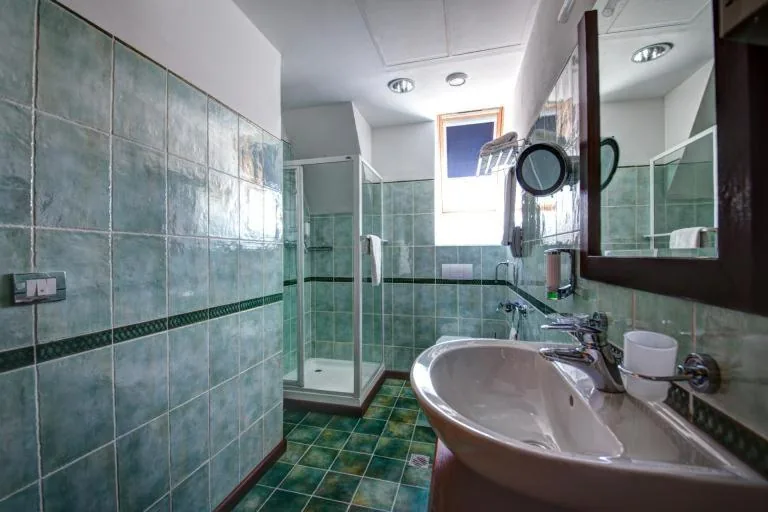 Cameră Dublă Economy 3* — House of Dracula Hotel